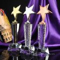 Prêmios de cristal do troféu de cinco estrelas